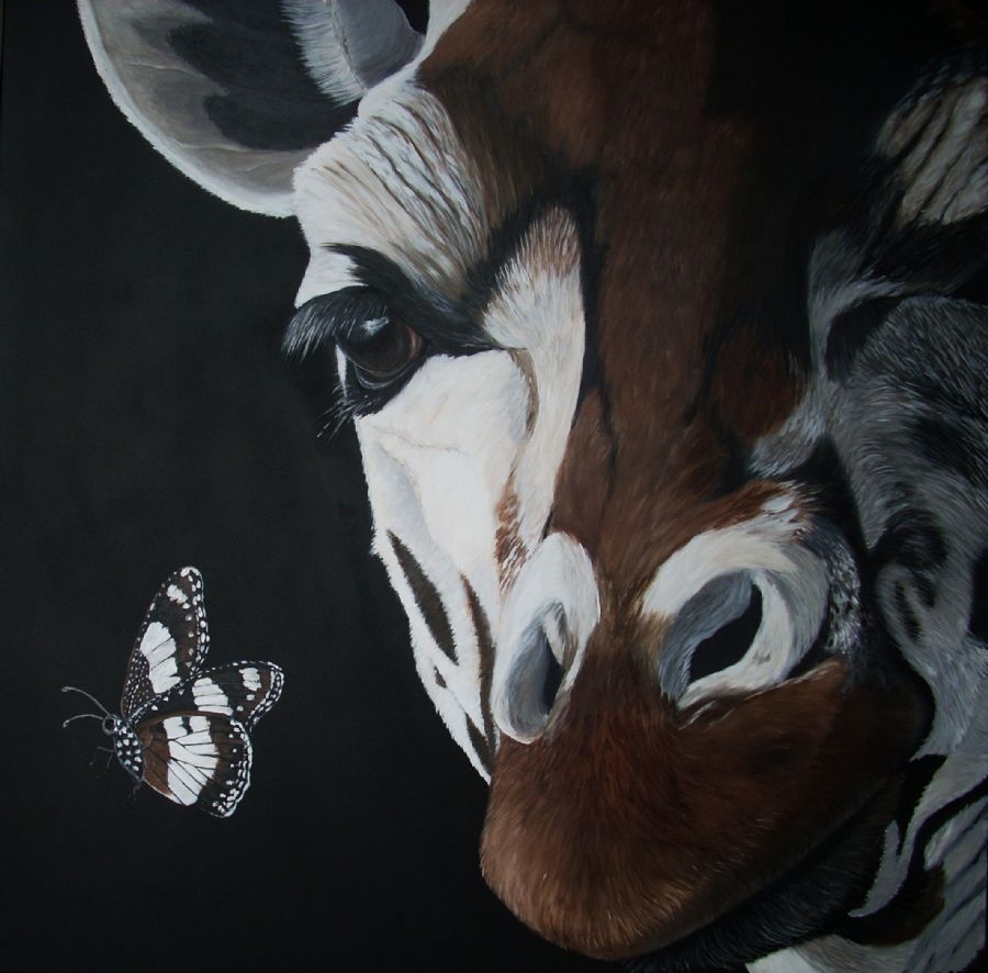 butterfly