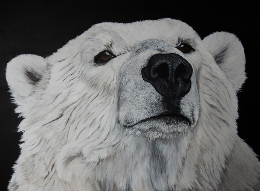 king of the artic