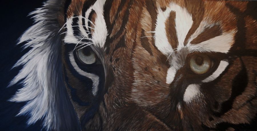 eye of the tiger