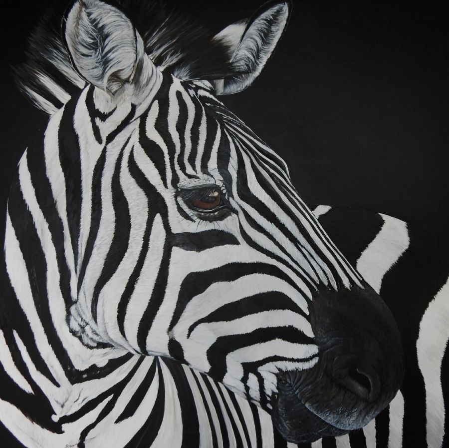 zebra