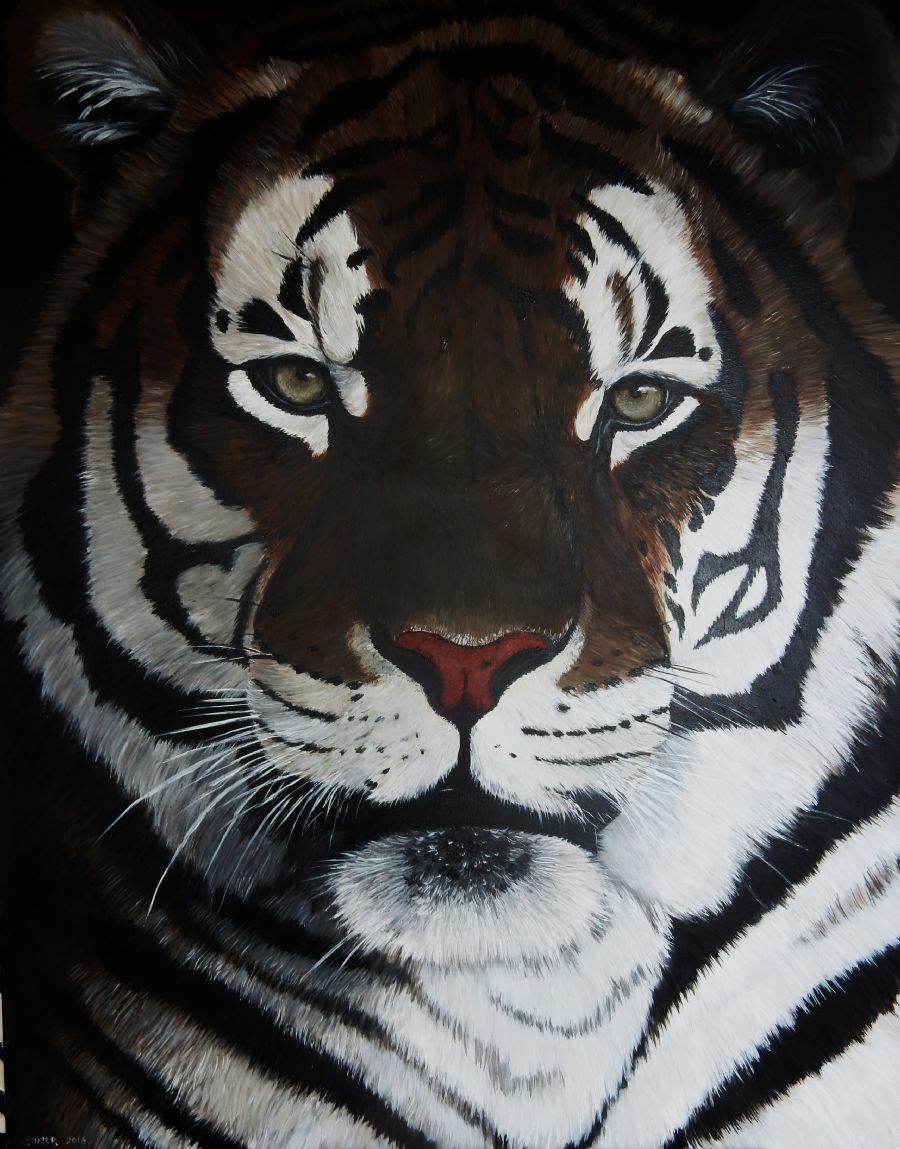 tiger