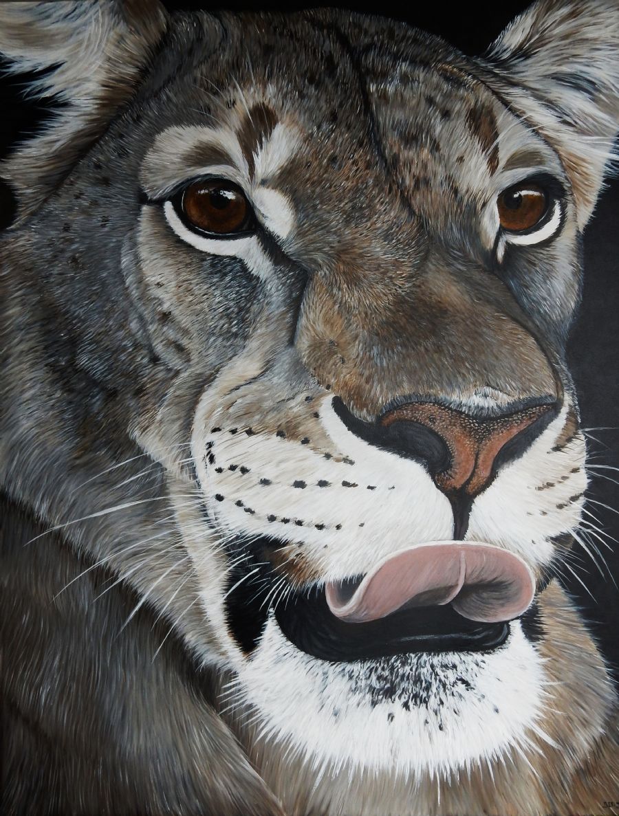 laban the lion