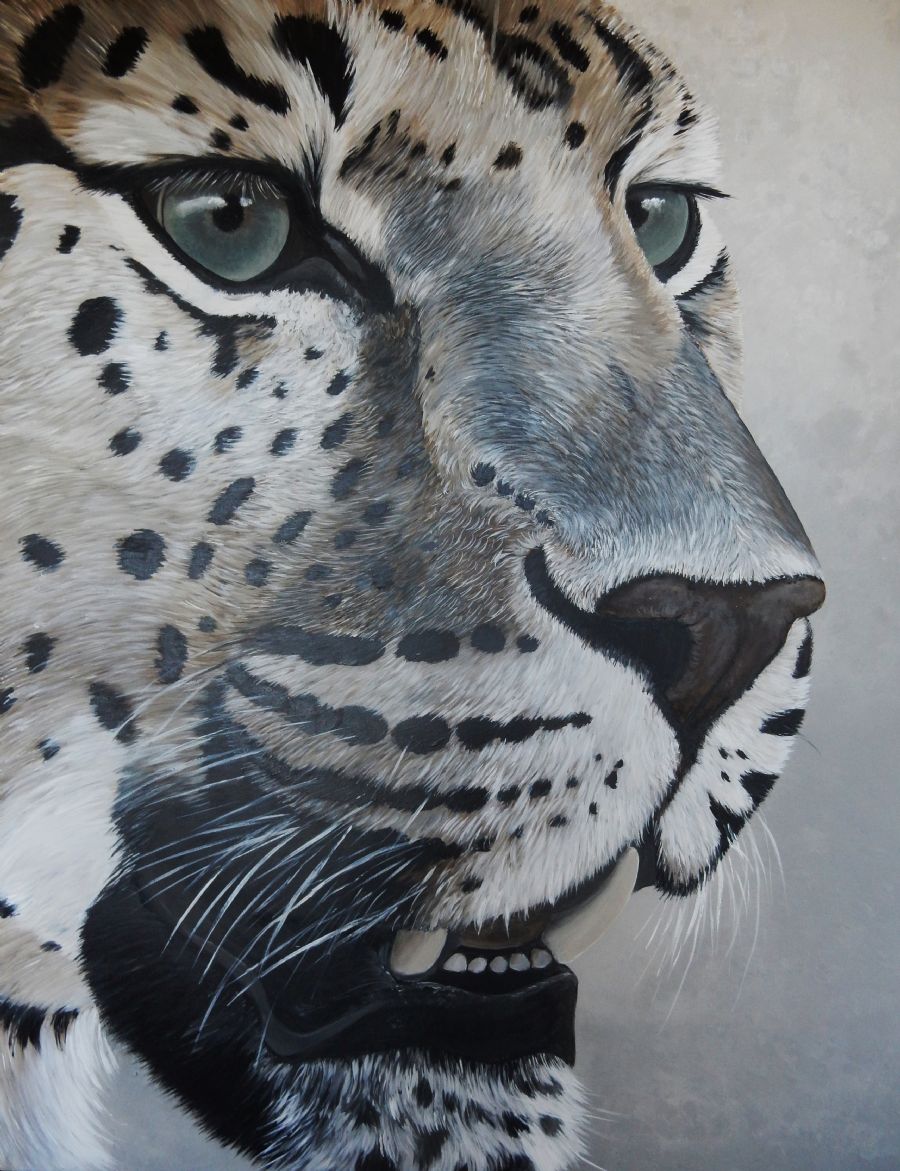 leopard