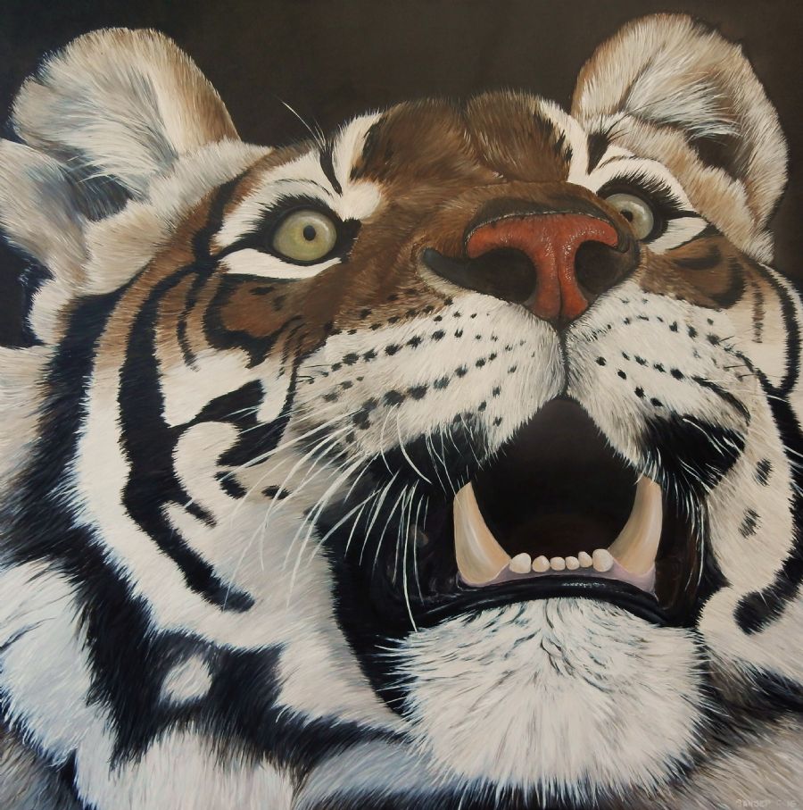 tiger