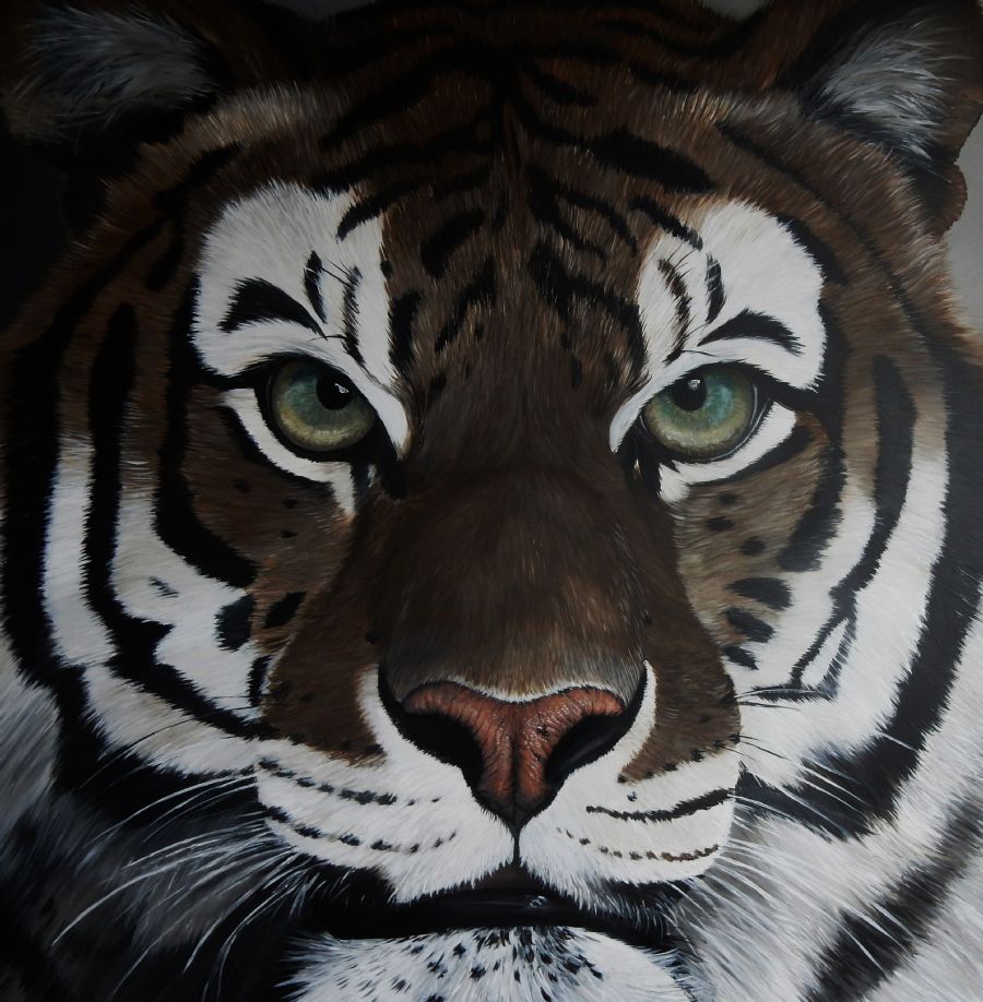 tiger