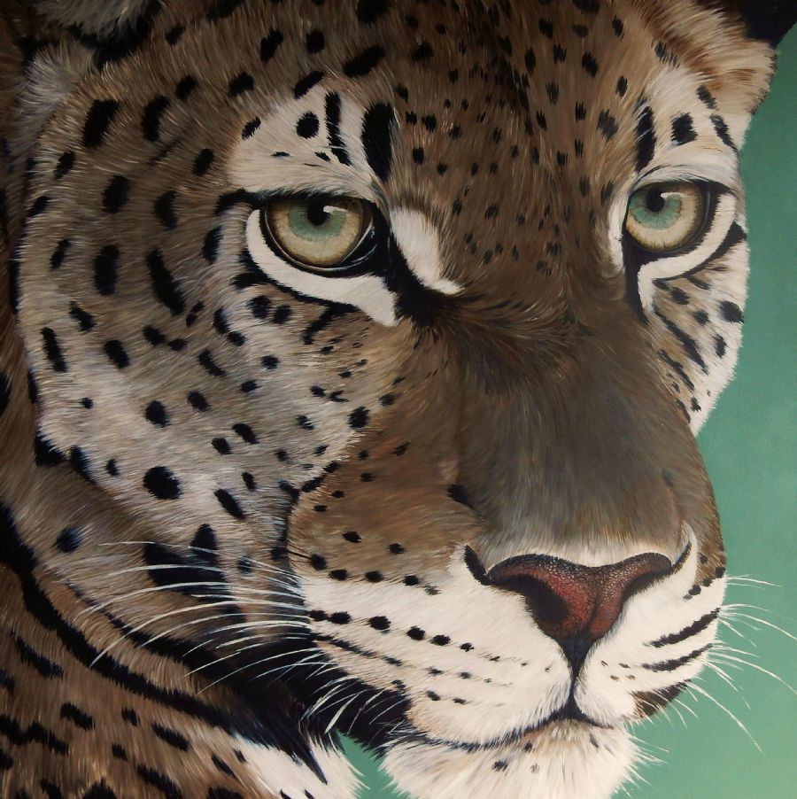 leopard
