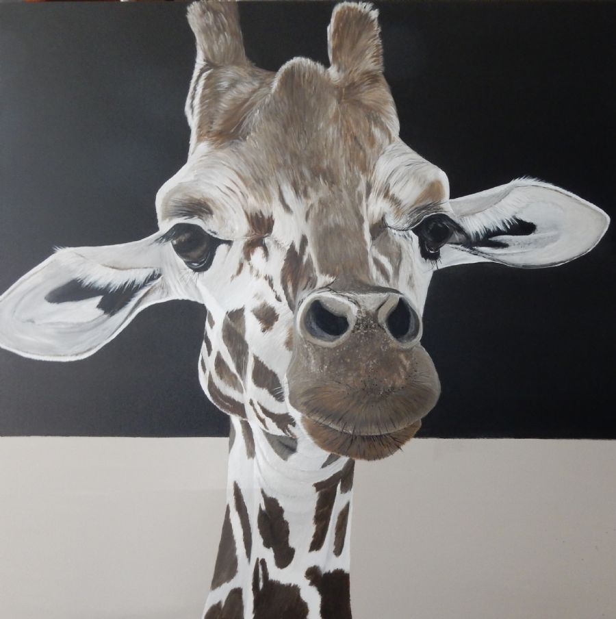 giraffe