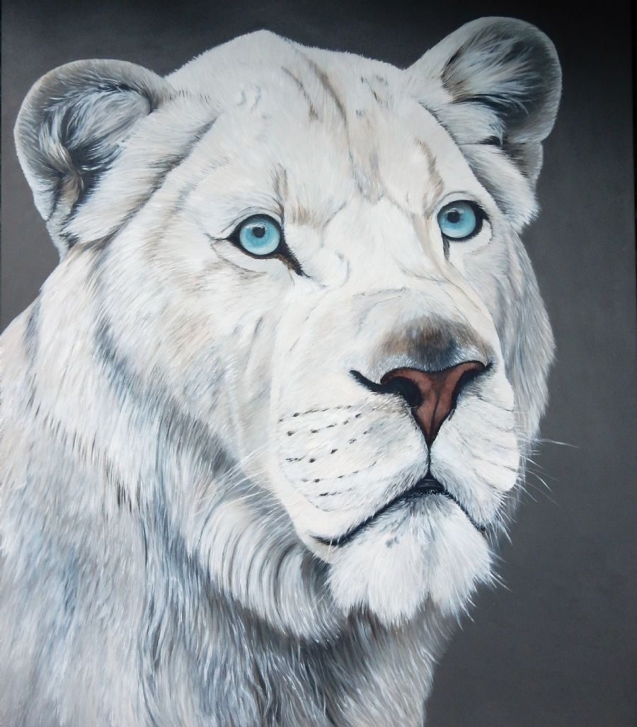 white lion