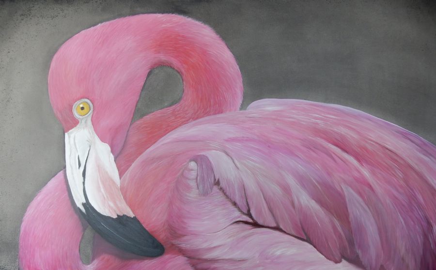 flamingo