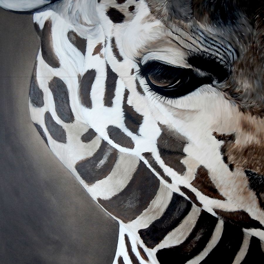 giraffe eye