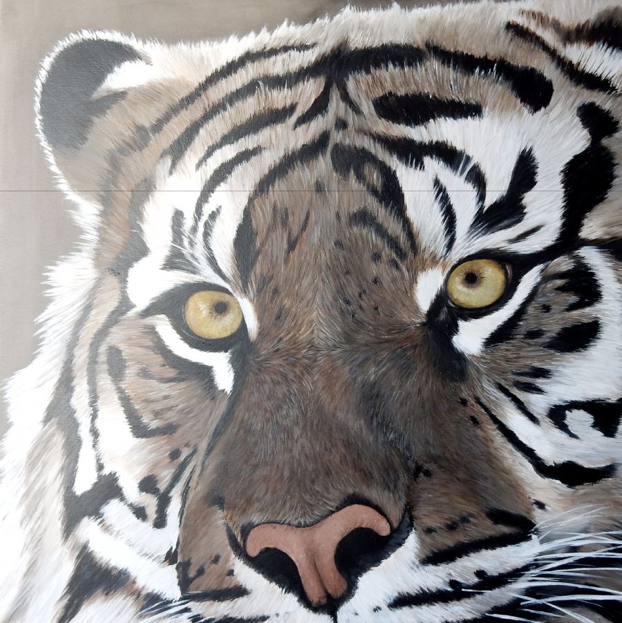 tiger
