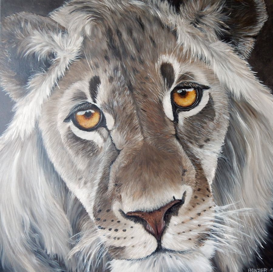 young lion