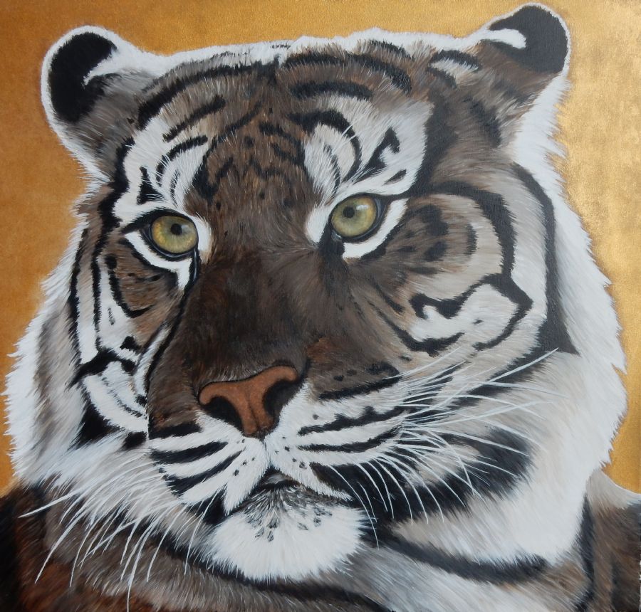 golden tiger