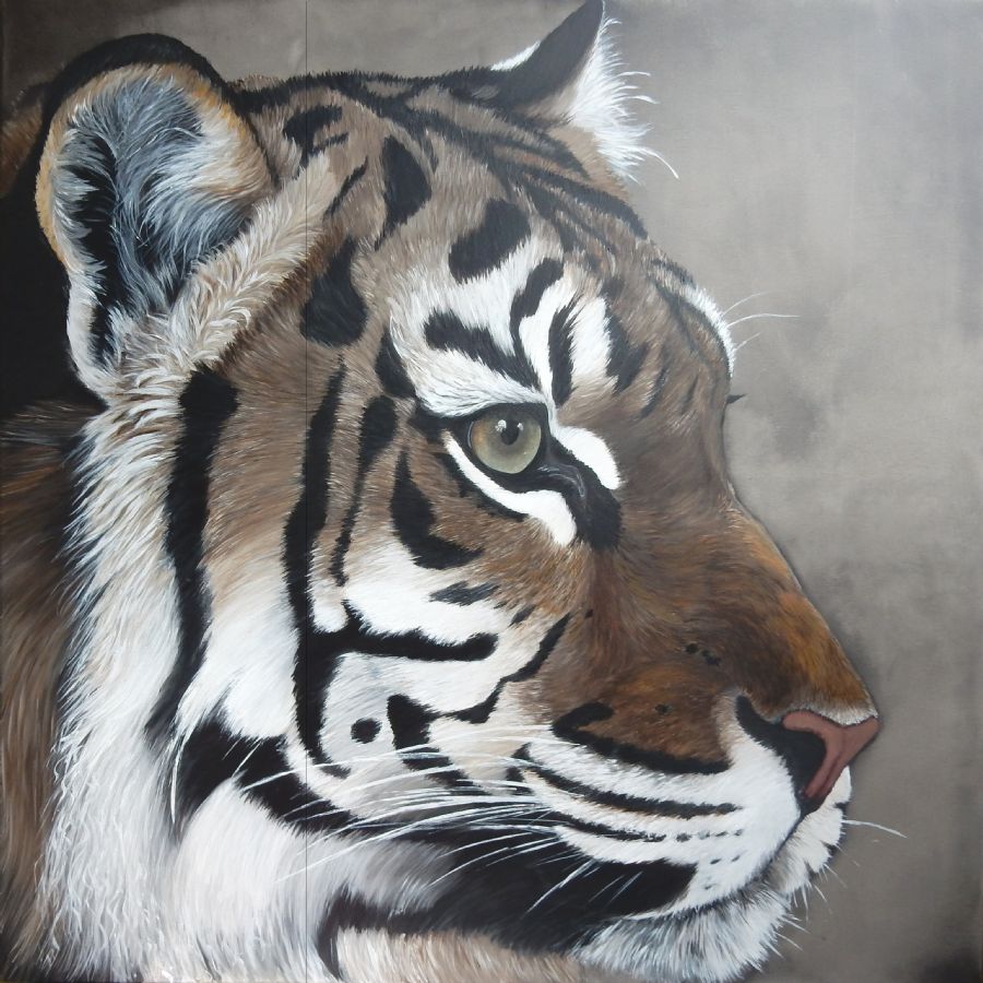 tiger