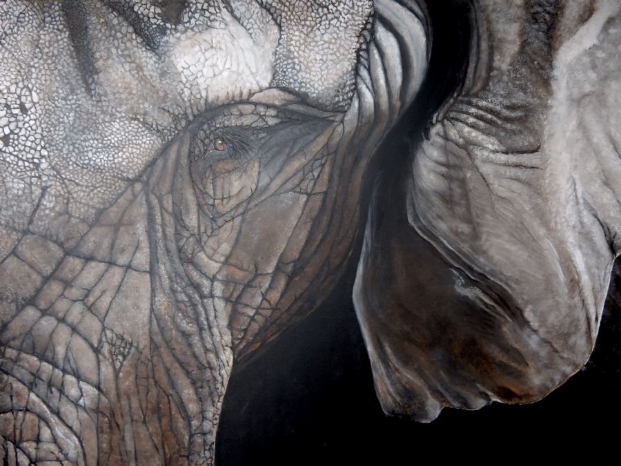 elephant