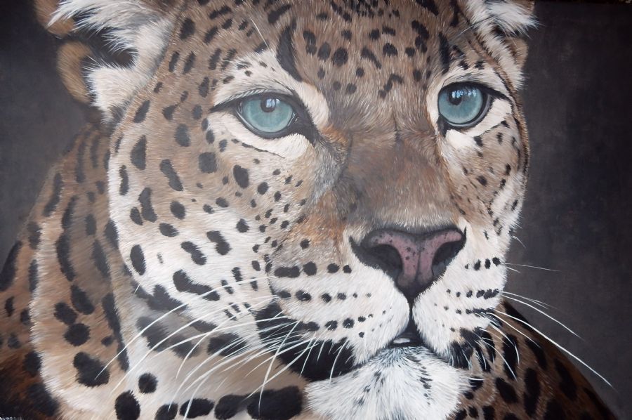 leopard