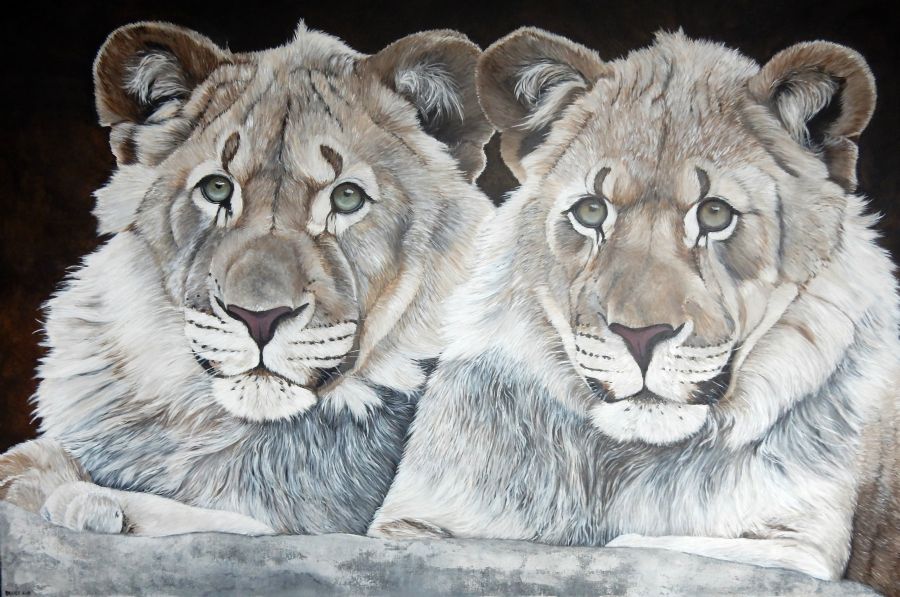 lion cubs