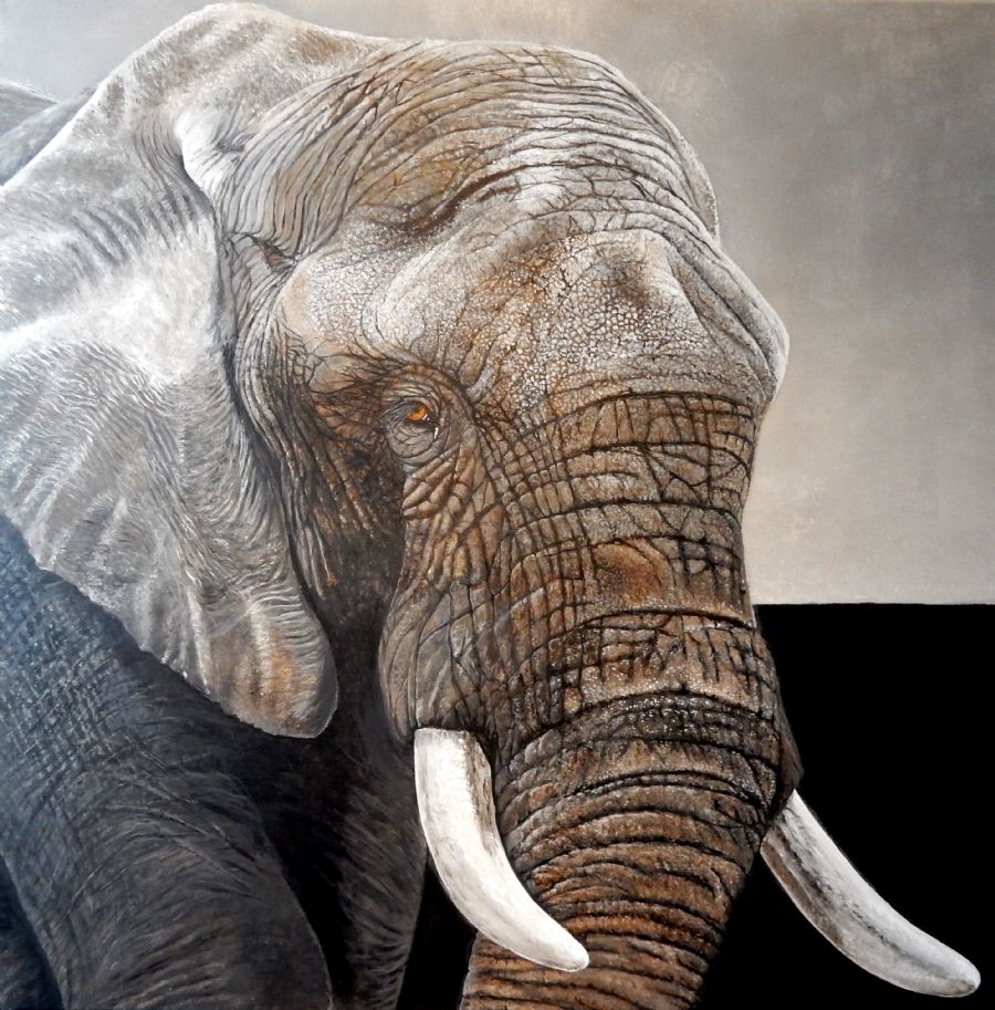 elephant