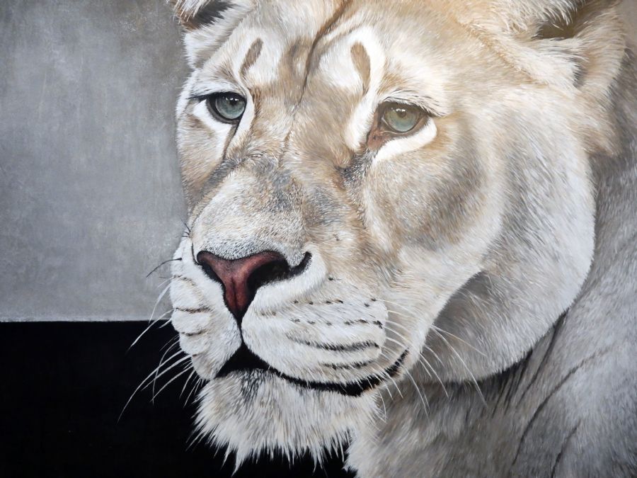 lion