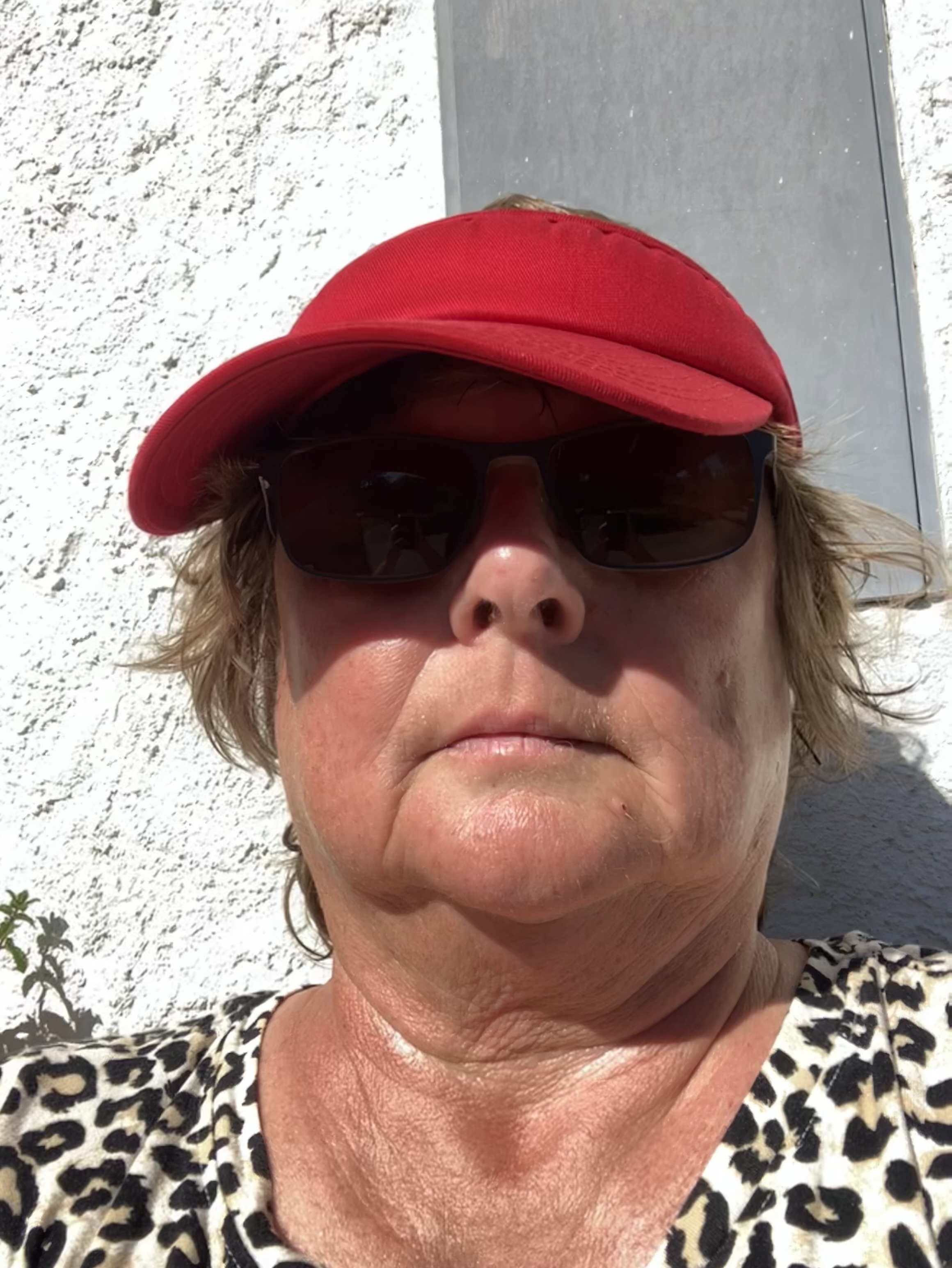 Hanne Clemens