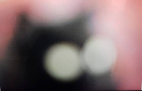 Katten – fotografier af Susanne Lindholm