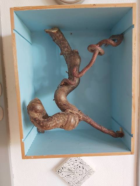 Naturen danser – skulpturer af KSH-ART