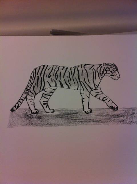 Tiger 2