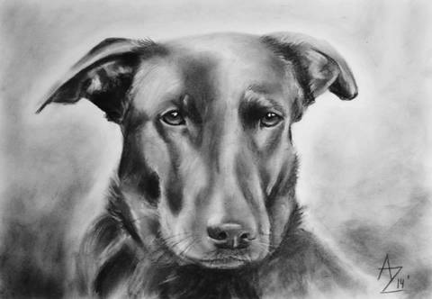 Nala