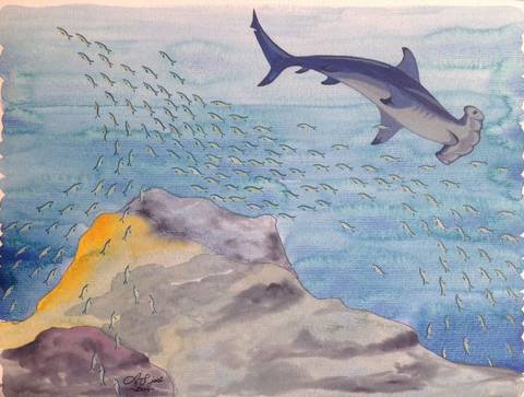 Hammerhead