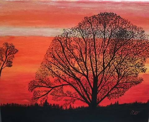 Solnedgang