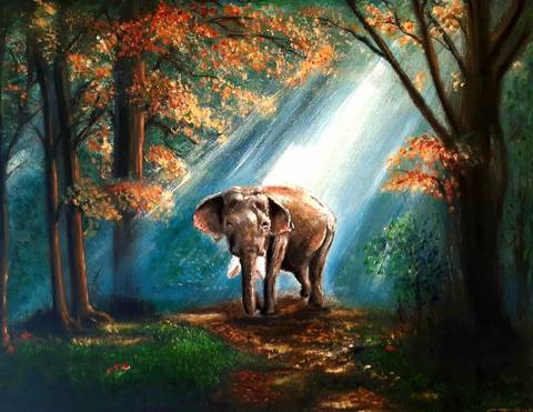 Elefant i skov