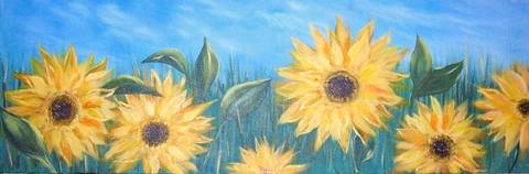 Sunflower field