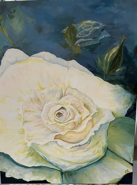 Den hvide rose fra Elisabeth