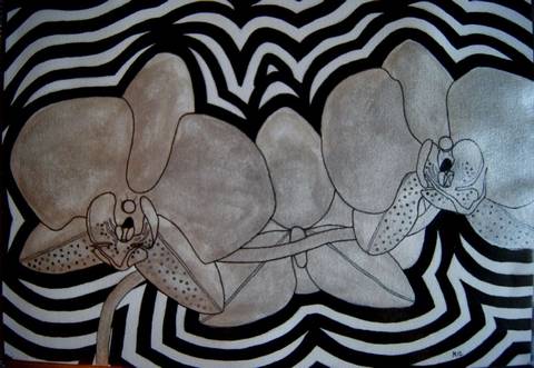 Orkideer