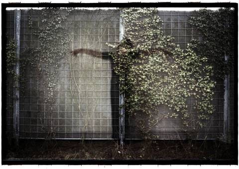 In the Wall