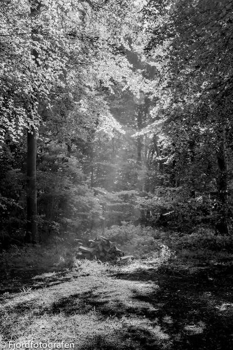 Light from above
