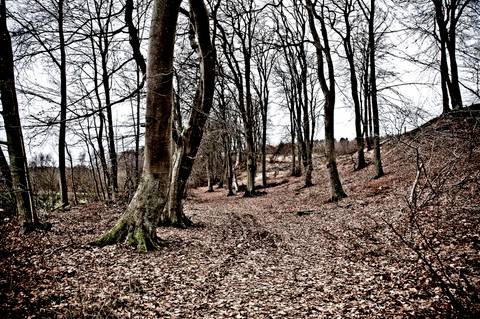 Wild trail