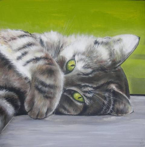 Kat i en solstribe