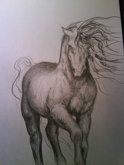 Hest