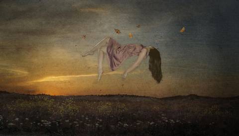 The Butterfly Effect