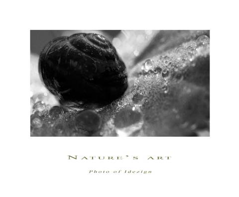 Photoart 12
