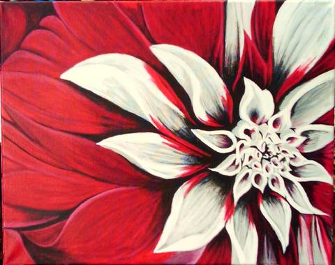 Red Dahlia