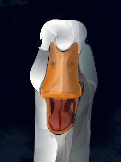 What's up, Duck? - tegnet på iPad