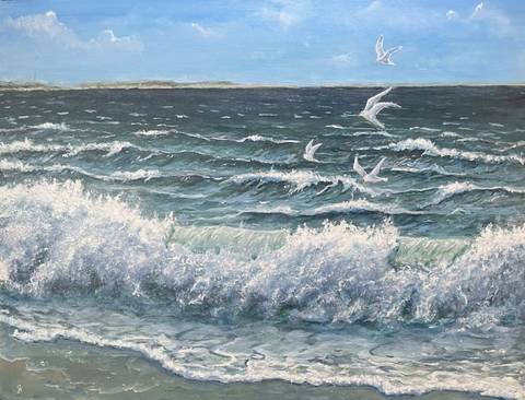 Hejsager Strand m. måger