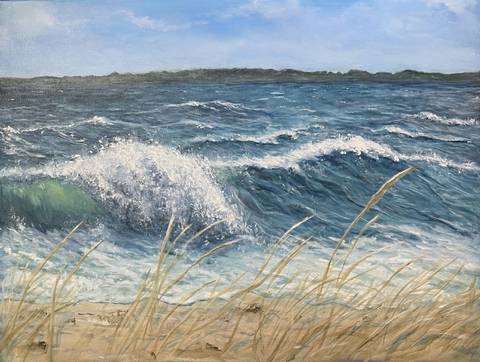 Hejsager Strand m. siv