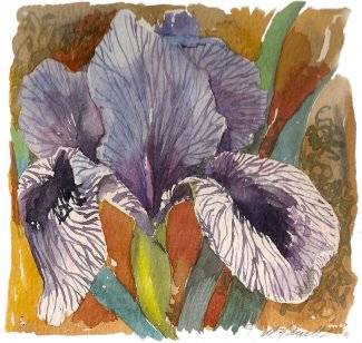 Iris