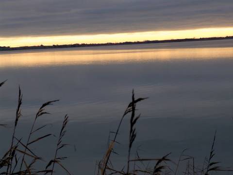 the lake