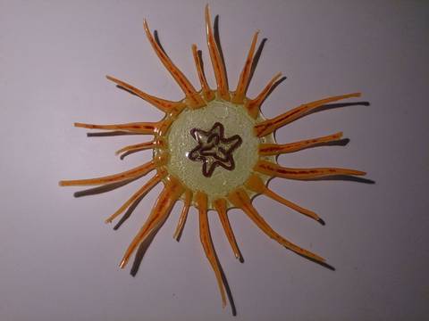 Sol