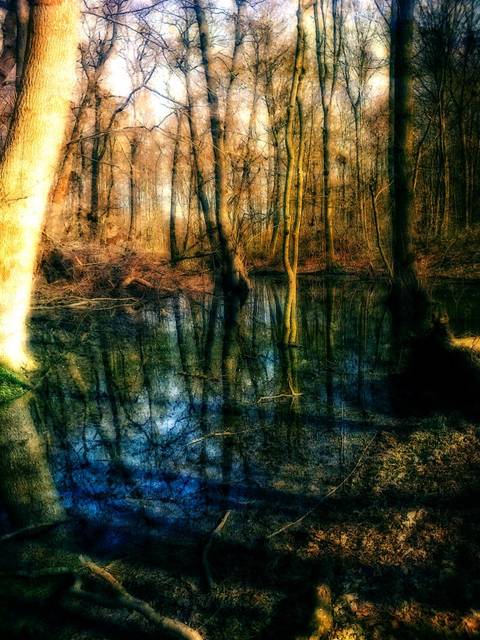 Blue water