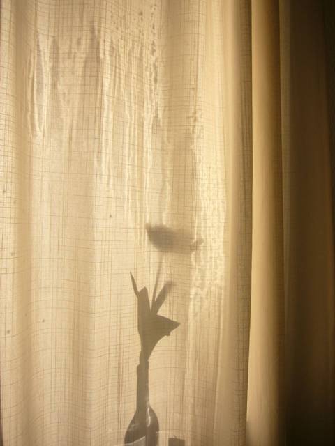 impression4